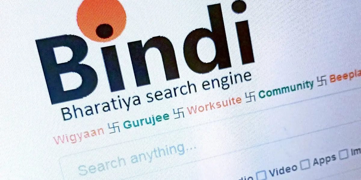 Image webshot of Bindi search
